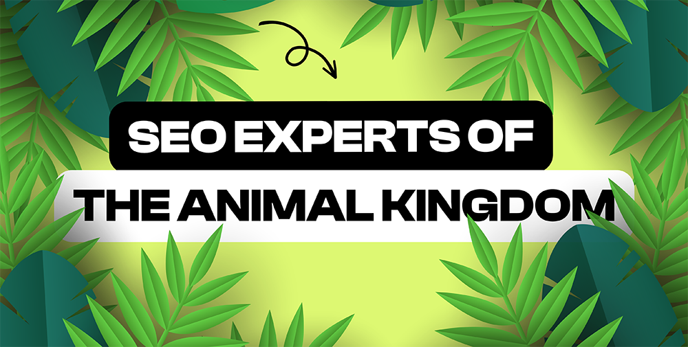 seo experts of animal kingdom